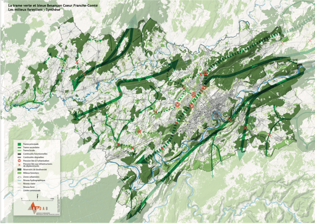 Co-construction de la Charte de l'arbre de Besançon